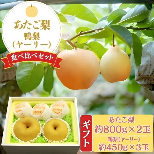 岡山県産あたご梨2玉と鴨梨（ヤーリー）3玉