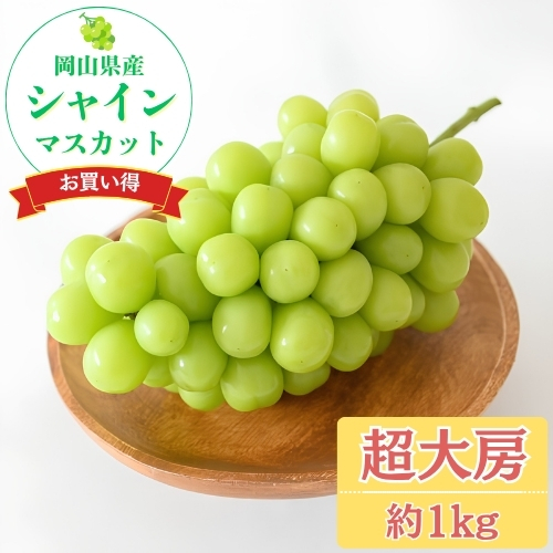 【数量限定】初夏のフルーツセット