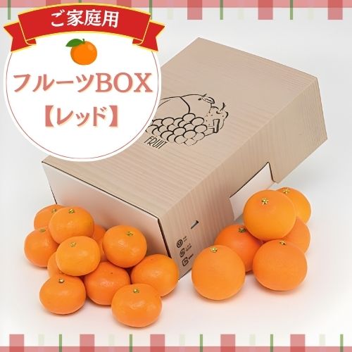 【送料無料】ご家庭用 フルーツBOX〈レッド〉