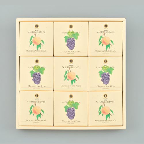 吟果膳　ちょっと贅沢な実だくさんゼリー詰合せ　9個入