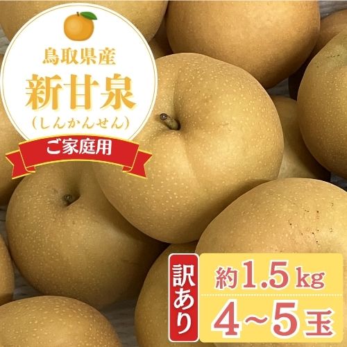 【数量限定】初夏のフルーツセット