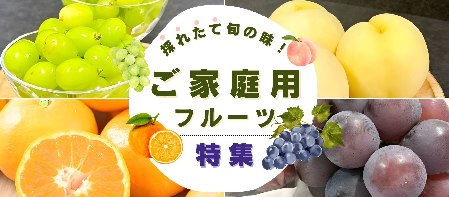 ご家庭用フルーツ特集 バナー