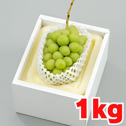 【ギフト】岡山県産シャインマスカット１房 1kg