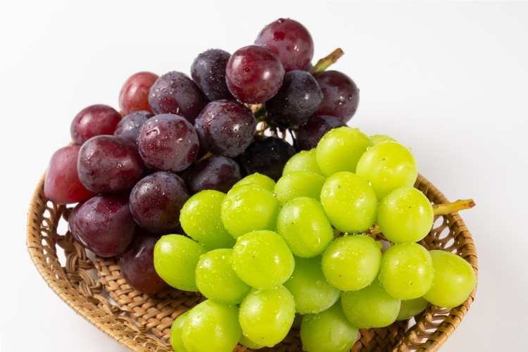 ぶどう・マスカット