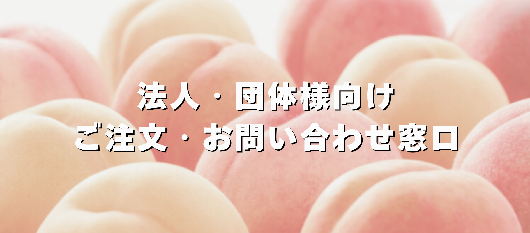 法人向けトップバナー