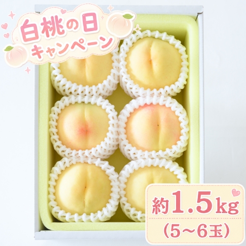 【フリュテリー果坊】