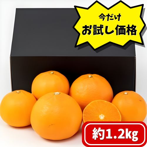 【お試し用】愛媛県産　甘平1.2㎏