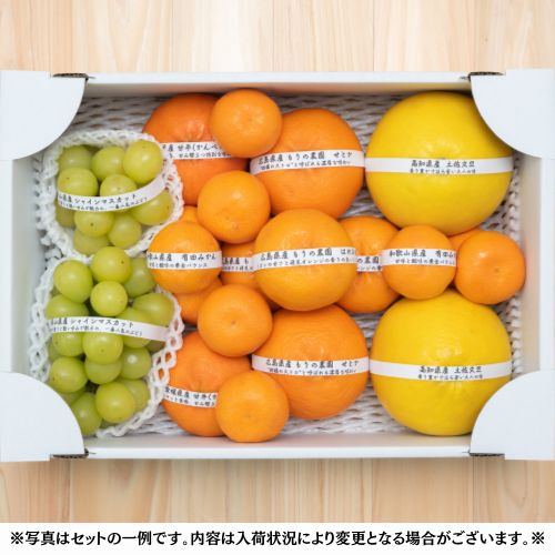 【毎週水曜限定】シャインと旬柑橘のプレミアム食べ比べBOX