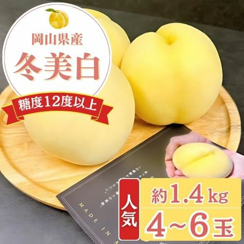 【ギフト用】岡山県産　冬美白1.4ｋｇ（4～6玉）