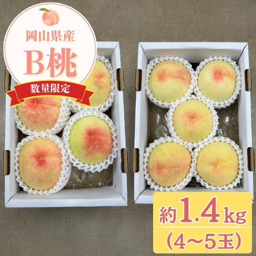 【フリュテリー果坊】