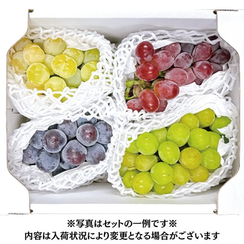 【フリュテリー果坊】