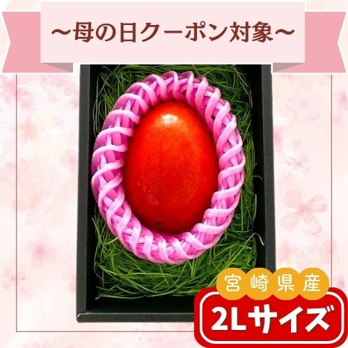 宮崎県産　完熟マンゴー2Lサイズ 1玉入