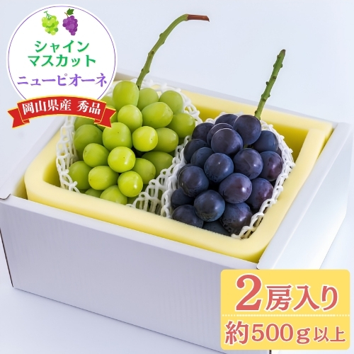 ぶどう部門1位