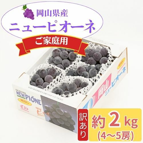 ご家庭用】訳あり 岡山県産ニューピオーネ 2kg | くらしき桃子 公式