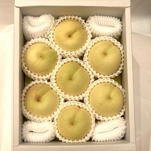 岡山県産 冬桃がたり ロイヤル 5個入り 数量限定】冬桃がたり5～7玉 (11月下旬頃～12月上旬発送) 岡山県産