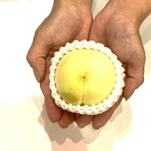 ギフト】岡山県産 冬桃がたり（ロイヤル） | くらしき桃子 公式