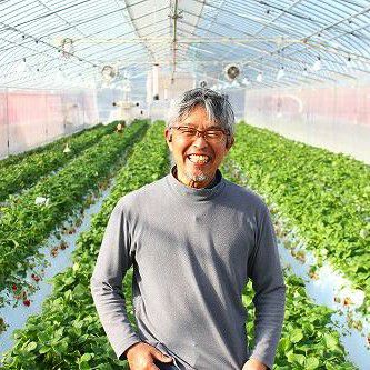 岡山県赤磐市】題府さんのいちご | くらしき桃子 公式オンラインショップ
