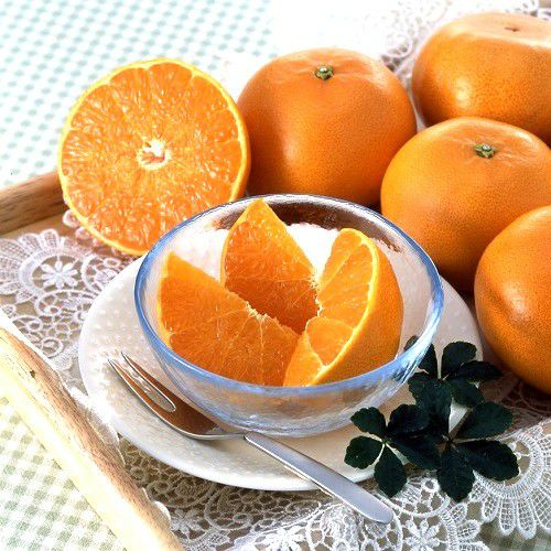 ギフト】広島県瀬戸田 もりの農園ハウスせとか3㎏ | くらしき桃子 公式