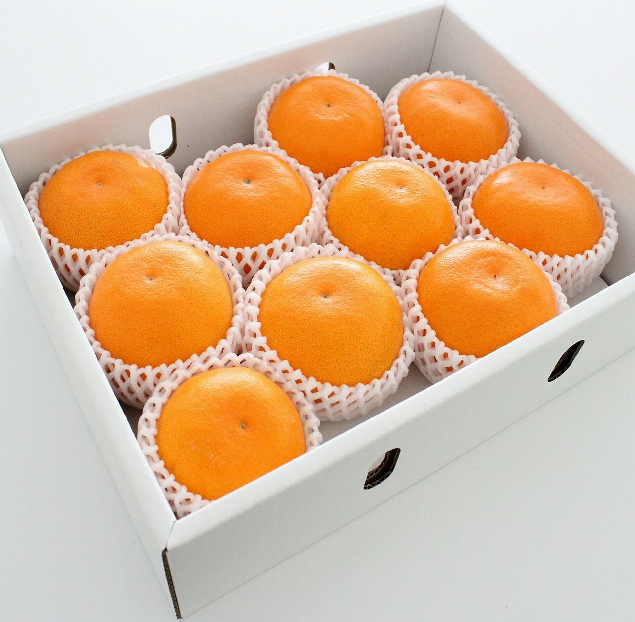 ギフト】広島県瀬戸田 もりの農園ハウスせとか3㎏ | くらしき桃子 公式