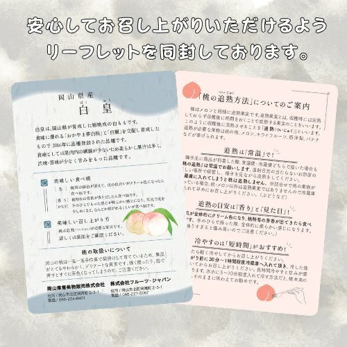 お中元】岡山県産 契約農家の白皇 3玉 糖度12度以上 | くらしき桃子