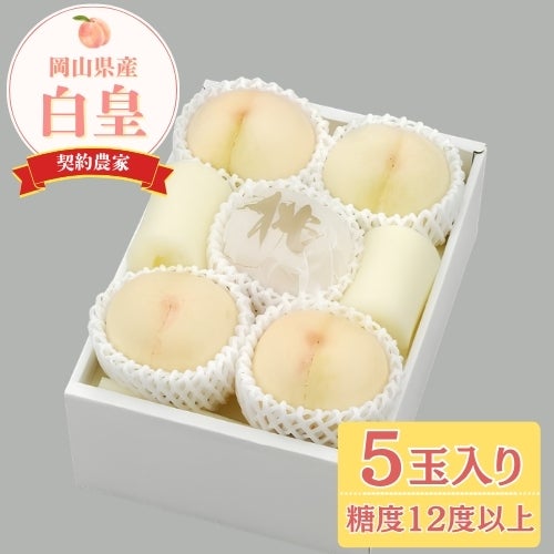 白皇（はくおう）【8月中旬頃～】 | くらしき桃子 公式オンラインショップ