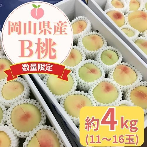 2025年】B桃 （ご家庭用桃たっぷり約4kg） クール便 | くらしき桃子