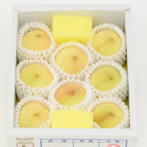 ご家庭用】岡山県産 冬桃がたり | くらしき桃子 公式オンラインショップ