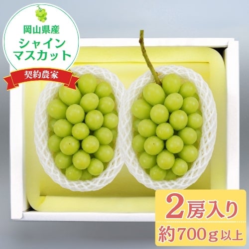 お中元】岡山県産 契約農家のシャインマスカット 秀品大房 2房