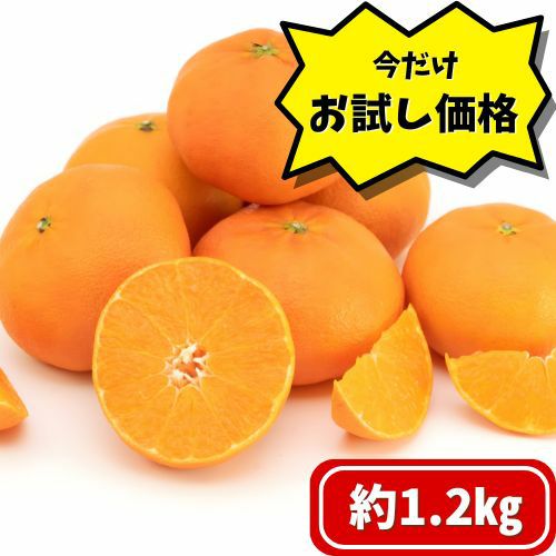 お試し用】愛媛県産 甘平1.2㎏ | くらしき桃子 公式オンラインショップ